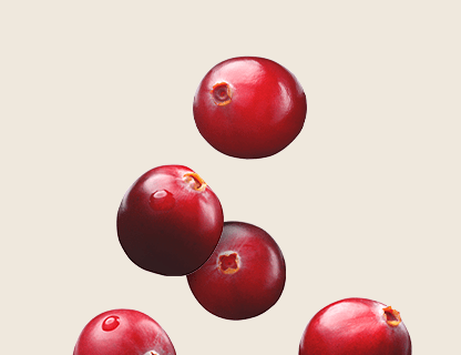 TŐZEGÁFONYA – VACCINIUM MACROCARPON GYÜMÖLCSKIVONATBÓL  