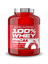 100% Whey Protein Professional - 1,81 kg