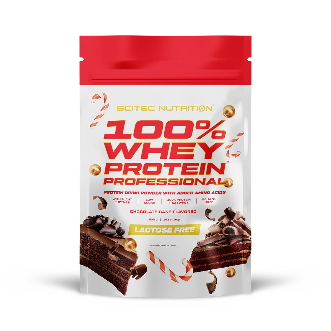 100% Whey Protein Professional - 0,5 kg (chocolate cake)