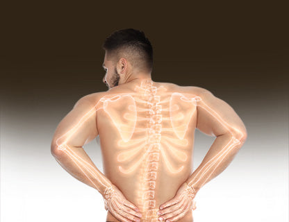 ... a tested folyamatait segíti