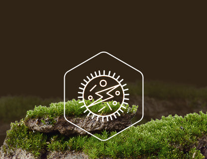 Nikotinamid-ribozid-klorid, a sejtek energiaforrása