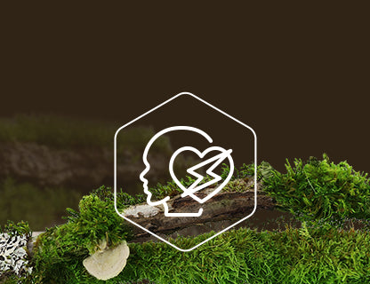 Q10-koenzim, a sejtek motorja