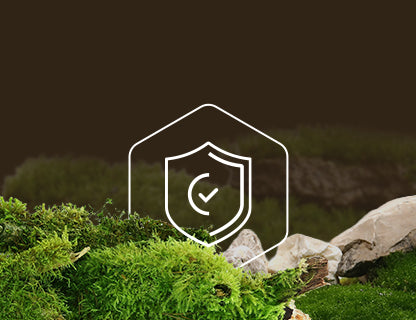 L-glutation, a belső védőpajzs